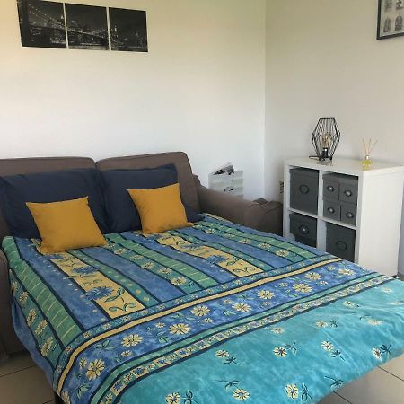 Appartement Au Milieu Des Lacs, Au Bord Du Guiers Aoste المظهر الخارجي الصورة