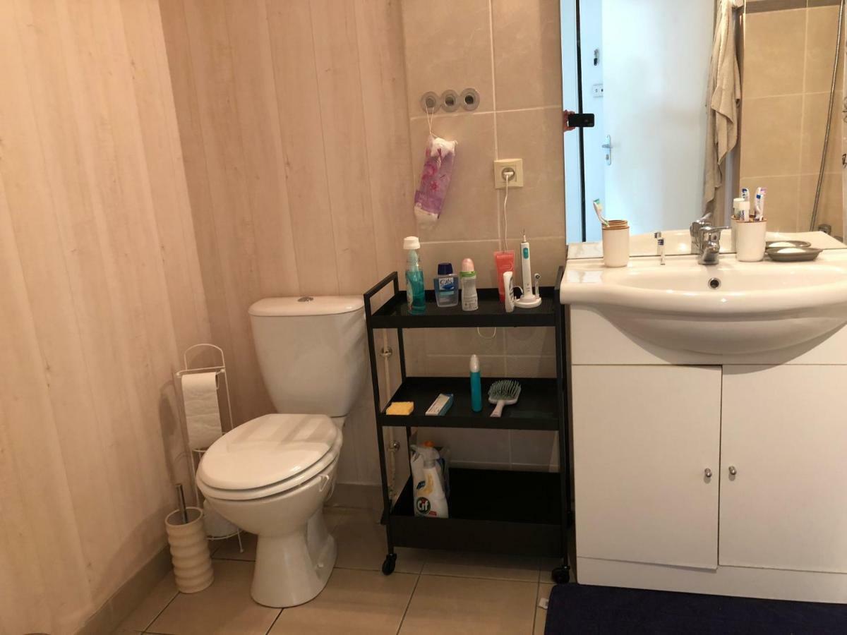 Appartement Au Milieu Des Lacs, Au Bord Du Guiers Aoste المظهر الخارجي الصورة
